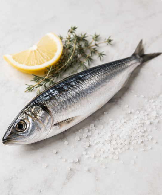 Sardinha